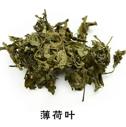 薄荷叶拍2件包邮新鲜干薄荷叶