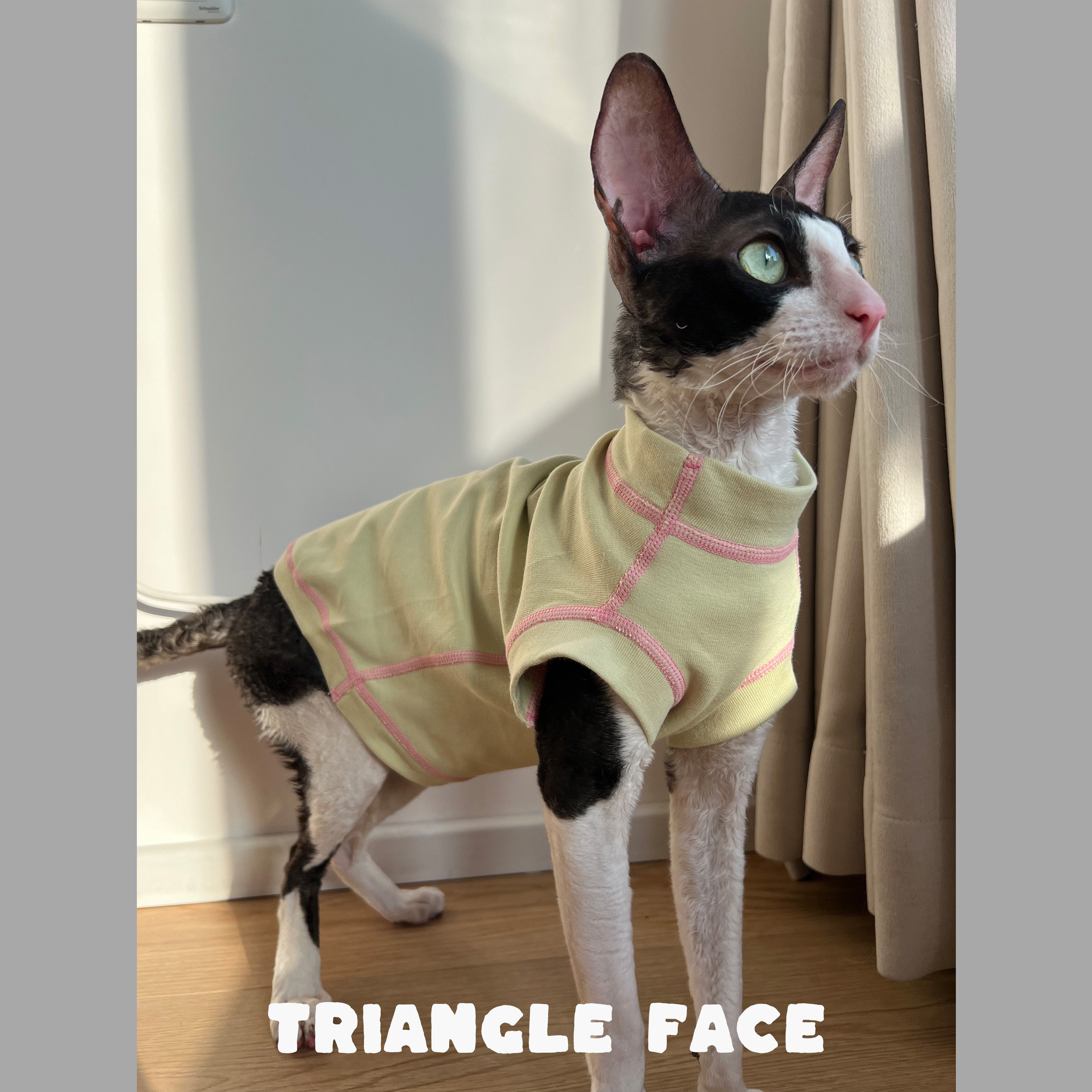 三角脸阿比德文无毛东短暹罗豹猫宠物服装 纯棉撞色春秋背心,宠物/宠物食品及用品,猫宠物服装/雨衣（新）,淘宝优惠券,粉丝福利购,淘宝优惠卷