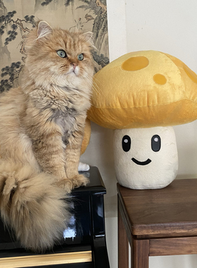 荷乐玩具设计heleworld植物大战僵尸系列太阳菇毛绒玩偶