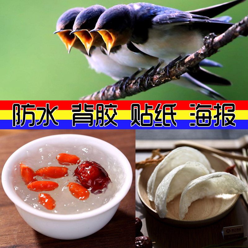 海报贴画飞鸟动物背胶墙壁装饰图