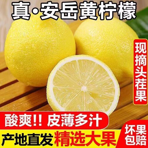 四川整箱当季皮薄柠檬汁水丰富
