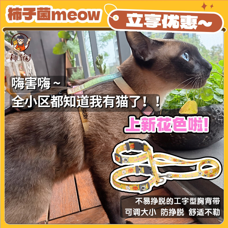 Touchdog猫咪牵引绳遛猫绳