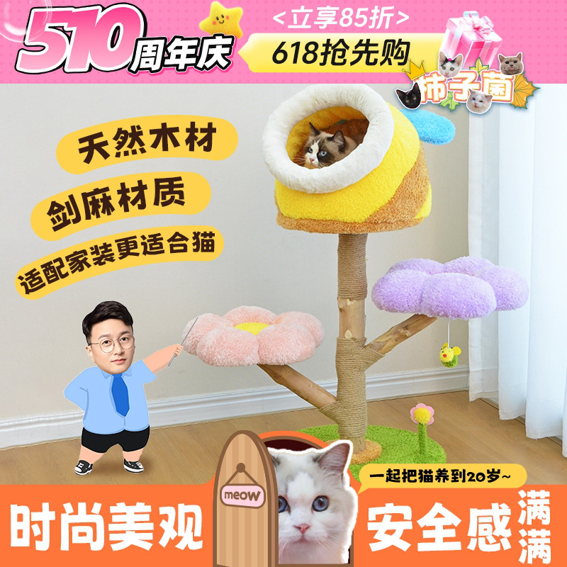 【柿子菌】凯瑞猫爬架出口品质铁管剑麻实木猫窝猫树猫台稳固不倒