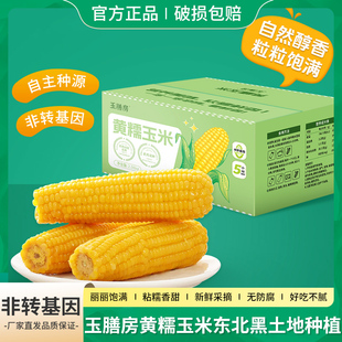 远方好物玉膳房黄糯玉米新鲜现摘现发真空包装早餐代餐粗粮