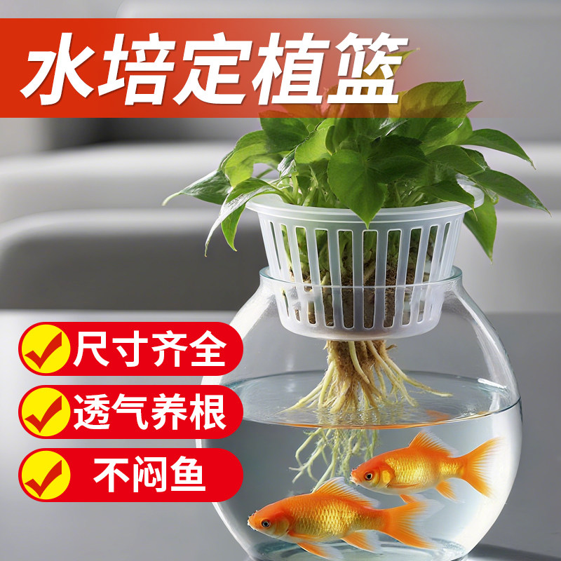水培定植篮鱼缸水草植物固定架圆形支架大号无土栽培容器种植架 - 实物图