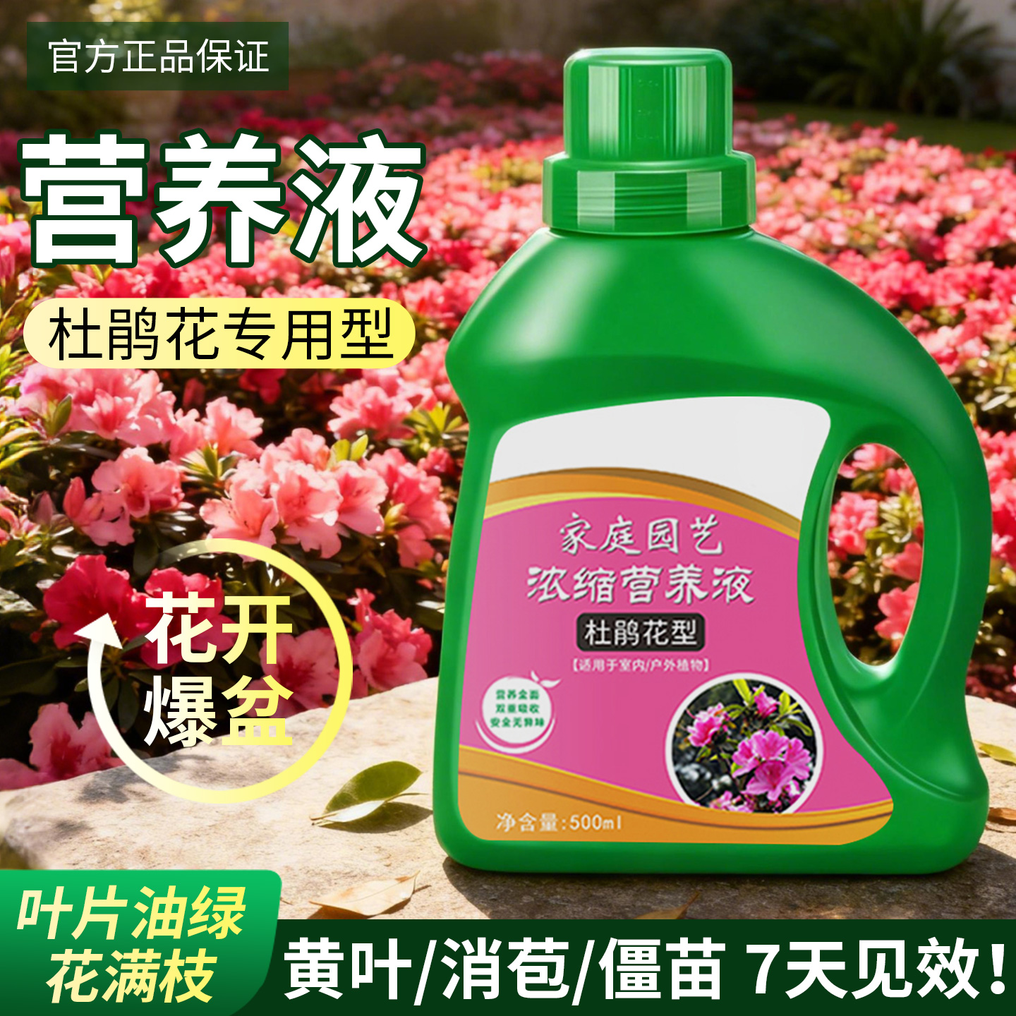 杜鹃花专用肥营养液花肥料家用盆栽花卉通用型养花酸性植物叶面肥