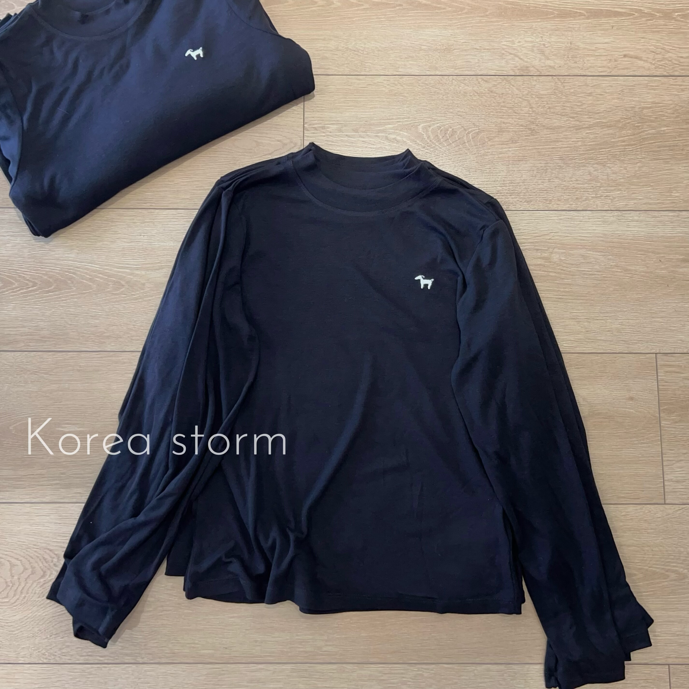 欧洲站25秋冬新款百搭立领长袖莱赛尔羊毛刺绣打底针织衫显瘦上衣