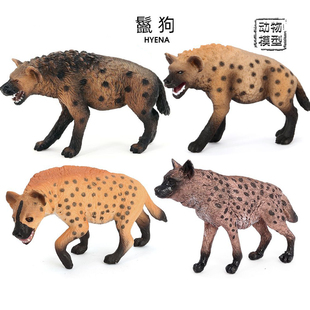 5种斑鬣狗模型仿真野生动物鬣狗非洲野狗摆件科普早教儿童玩具
