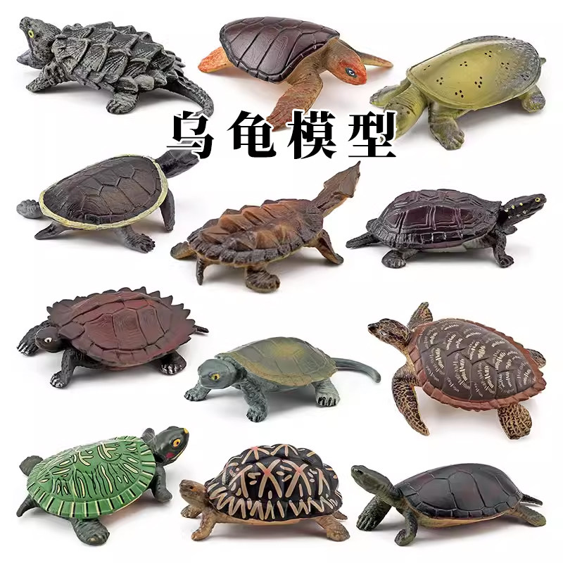 12款乌龟模型仿真鳄龟草龟拟水龟中华鳖海龟陆龟认知摆件儿童玩具