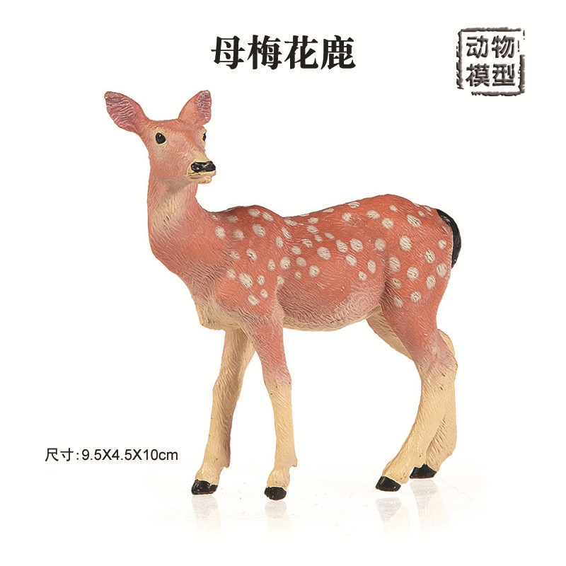 母梅花鹿模型斑鹿母鹿deer仿真野生动物场景摆件科教认知儿童玩具