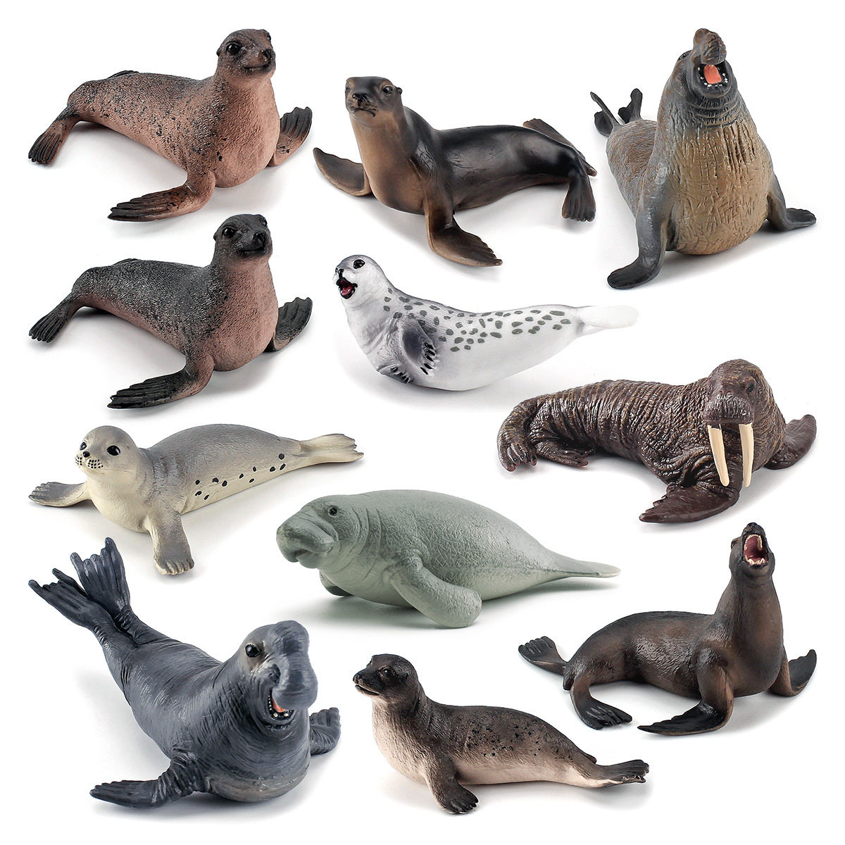 仿真海洋哺乳动物海豹海狮海象模型儿童认知海底生物摆件玩具