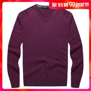 Youngor quầy nam đích thực 100% áo len cashmere áo len ấm áp áo len cashmere YRRY65111KVA - Áo len Cashmere