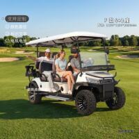 Electric golfcart, golfcart, scenic area shuttle, homestay, house viewing, patrol, golfcart, four-wheel sightseeing vehicle thumbnail 5