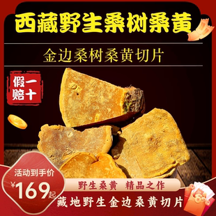 12年西藏桑树桑黄切片150g正宗旗舰店野生桑黄的功效西藏灵芝包邮