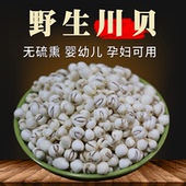 包邮 250克川贝母 四川特产甘孜无硫中药材正宗野生川贝母粉可磨粉