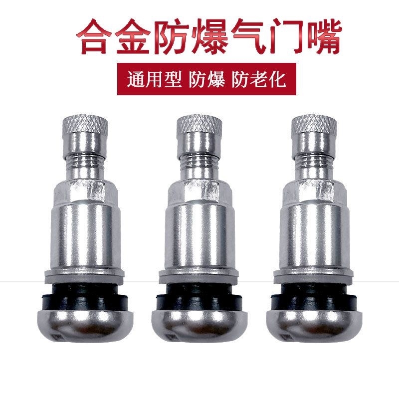 不锈钢气门嘴  不锈钢气嘴 充气阀 山地自行车减震器进气嘴