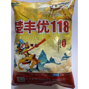 楚丰优118杂交粳稻种子国审一季中稻抗病高产优质三系杂交水稻种