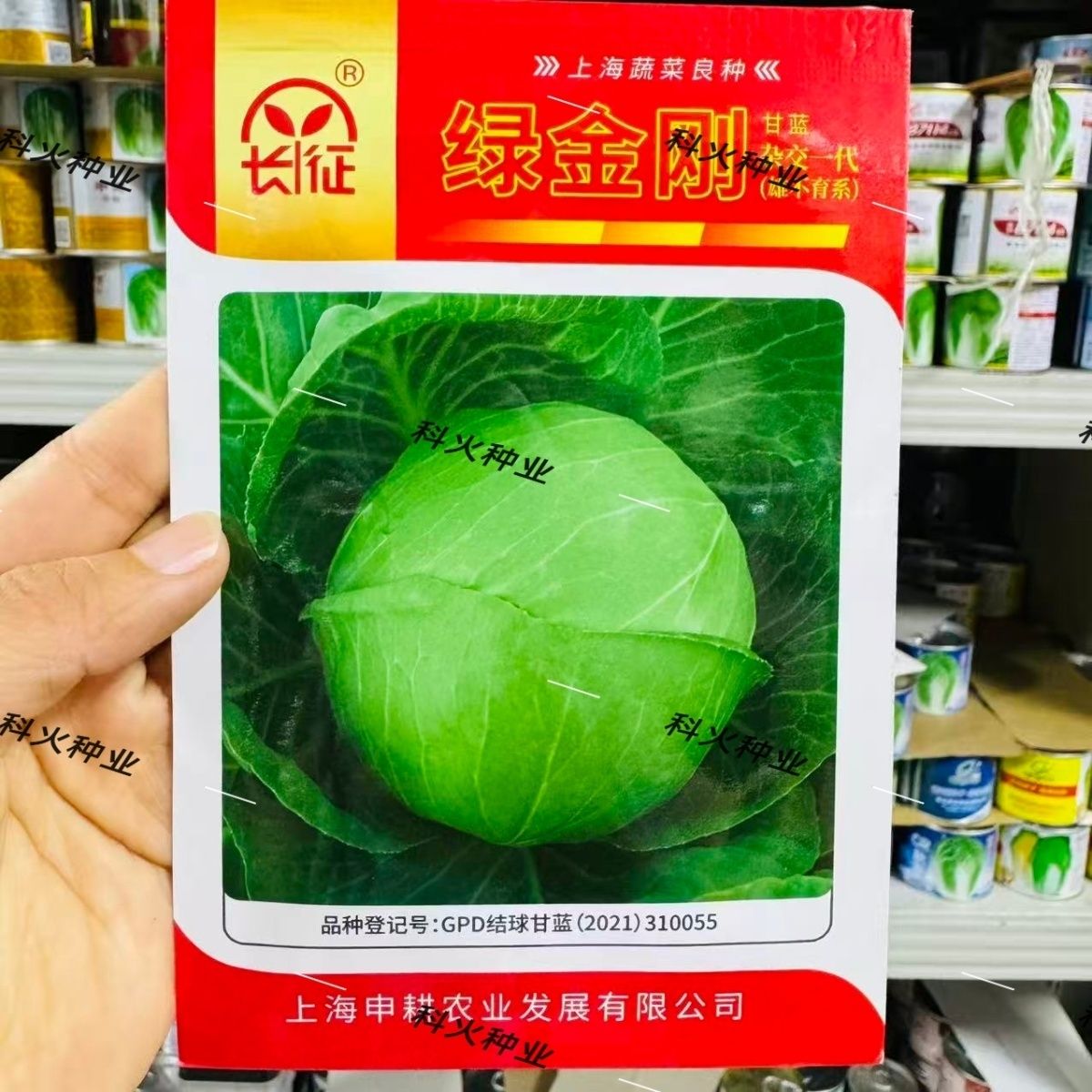 绿金刚甘蓝种子包菜种子杂交卷心菜种子紧实耐寒耐裂球卷心菜种籽