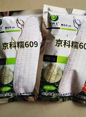 农科玉京科糯白糯玉米种子鲜食糯玉米种抗病高产南方北方春夏秋播