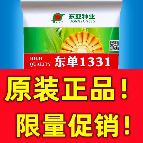 东单1331玉米种子小钢炮玉米种子高产抗病玉米种籽原装正品真品