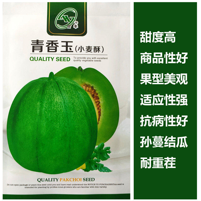 蔬果青绿糖度春秋种植甜瓜露地高香瓜果肉小麦种子果皮翠绿早熟酥