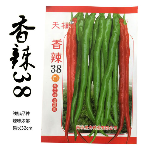 春季长二种荆条种苗南方椒种籽长种子辣椒盆栽四季孑长线丰产蔬菜