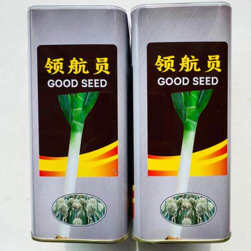 领航员大葱种子特别高产特抗病耐热耐寒钢葱高产章丘大葱种子籽孑