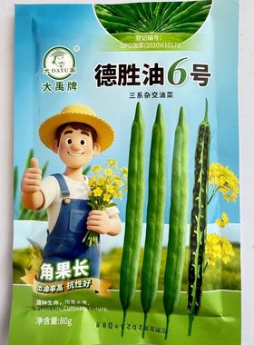 大禹牌德胜油6号油菜种子三系杂交角果长出油率高抗病性好油菜籽