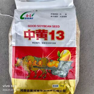 中黄13黄豆种子高产抗病抗倒抗涝大豆种籽春夏播大黄毛豆种子正品