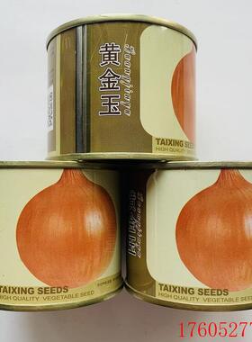 红黄金洋葱洋葱葱头种籽红皮泰星泰山紫红葱头种子紫冠圆玉地球
