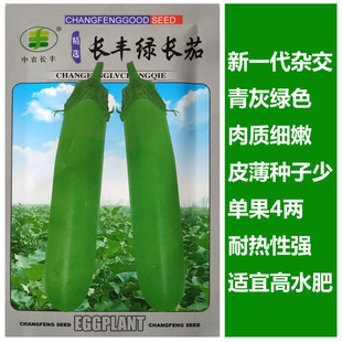 基地抗病春秋蔬菜种子耐热苗丰产大田茄子种子播种茄绿长杂交南方