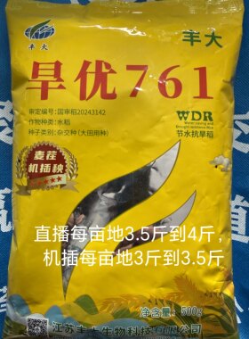丰大旱优761水稻种子籼型三系杂交水稻种子抗旱抗倒伏优质稻谷种