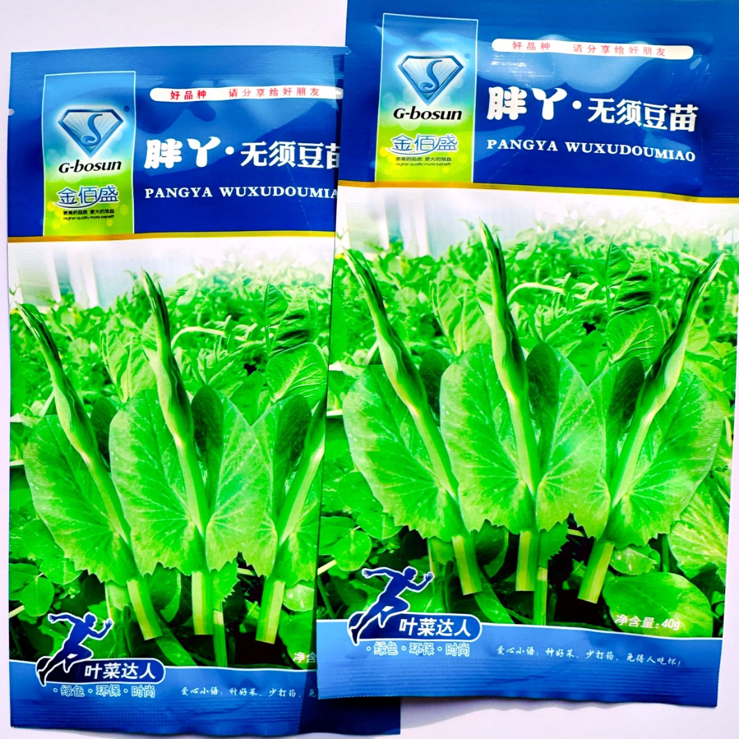 胖丫无须豆苗种子用于采摘豌豆苗尖的品种长势快清香鲜嫩味美可口