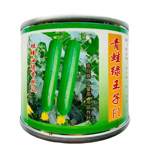 青蛙绿王子短棒油皮丝瓜种籽高产春秋油皮香蕉丝瓜种子大田专用种