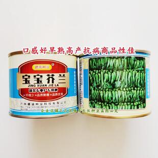 广州 芥兰种子 口感好早熟高产抗病商品性佳 农家春秋播 宝宝芥兰
