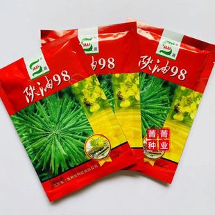 陕油98油菜籽种子正品原装高产高出油油菜籽三系杂交油菜籽种子籽