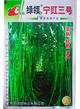 绿领 宁豇三号豇豆种子 一点红早熟高产耐热耐涝田园庭院蔬菜种子