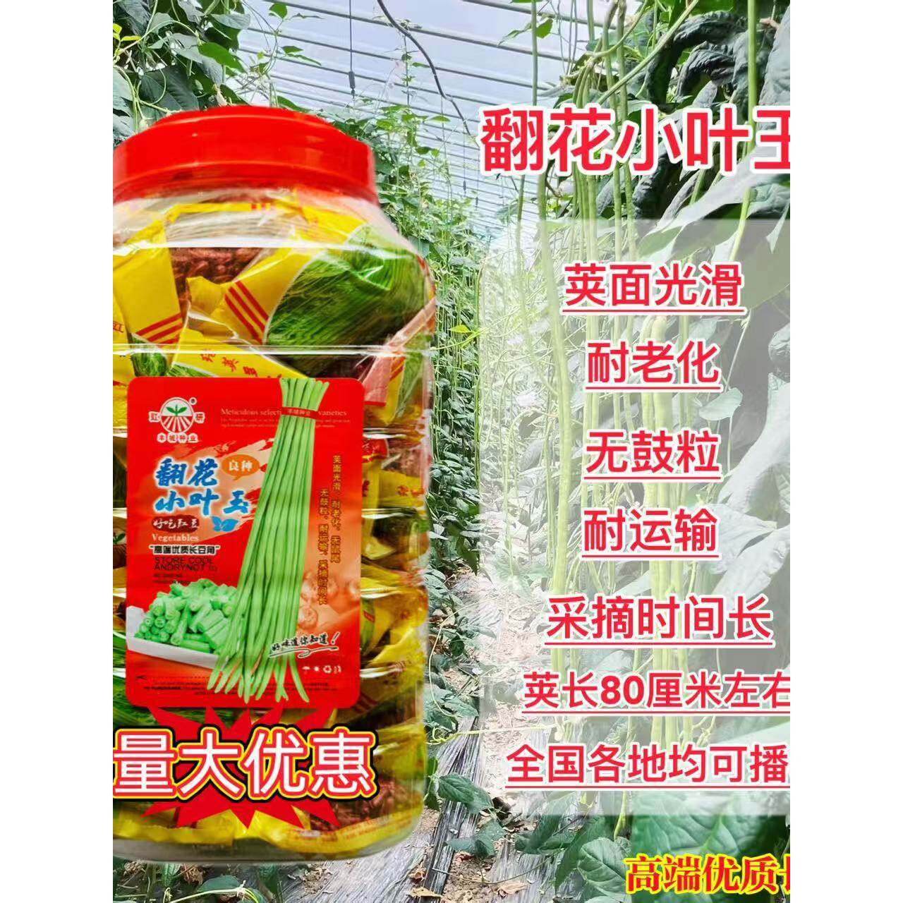 翻花小叶玉长豇豆种子早熟浅绿条长豆角种籽青豇豆荚长整齐菜种子