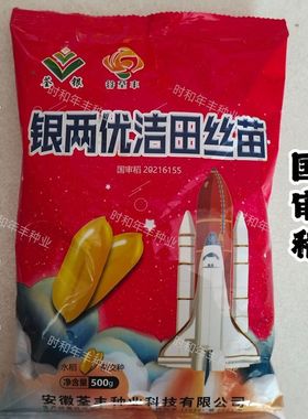 银两优洁田丝苗水稻种子高产抗病早熟麦茬稻种籽长粒稻谷种籽原装