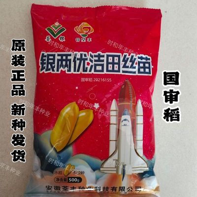 银两优洁田丝苗水稻种子高产抗病早熟麦茬稻种籽长粒稻谷种籽原装