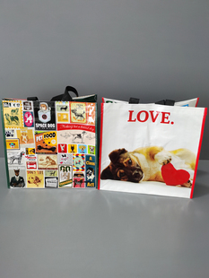 外贸原单超大号双面防水编织袋卡通超市环保购物袋手提袋收纳袋