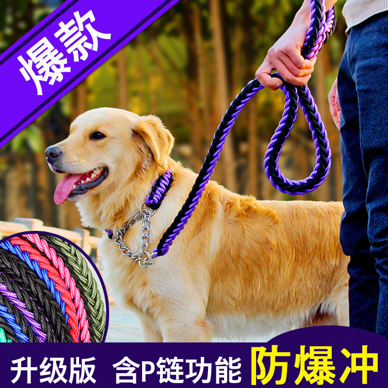 狗绳子八股绳p链项圈宠物狗狗脖子套防走失带牵引绳日常生活用品