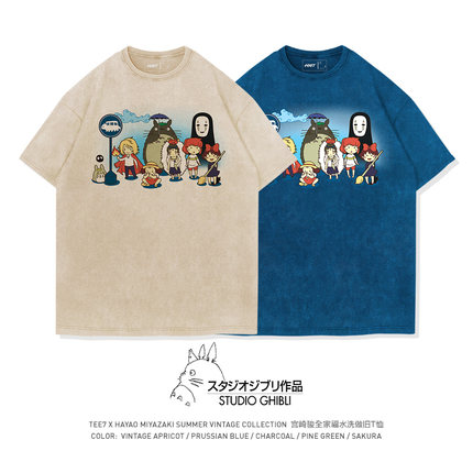 TEE7-宫崎骏全家福水洗做旧复古动漫短袖T恤纯棉宽松ins高街爆款