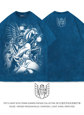 TEE7-圣斗士星矢天马座马年贺岁燃烧小宇宙做旧复古纯棉短袖T恤