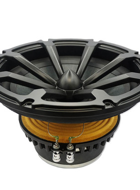 英国 伏特 VOLT RV2501 10寸发烧低音喇叭 八爪鱼低音喇叭