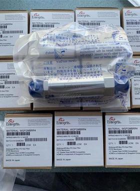 询价美国Entegris英特格WG3NSMSL2过滤器 原装现货议价