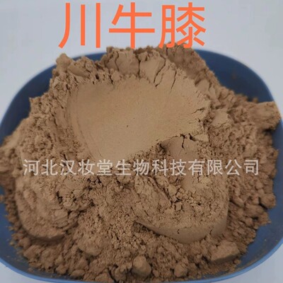 正品川牛膝粉中药粉专业中药材超微粉加工比质不比价超低温磨粉