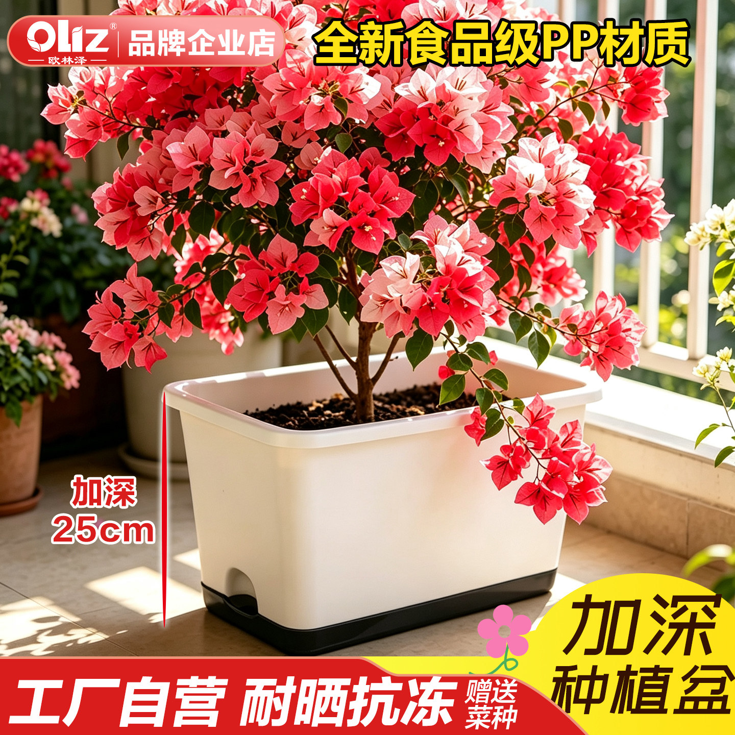 加深塑料花盆西瓜种植盆草莓盆图片