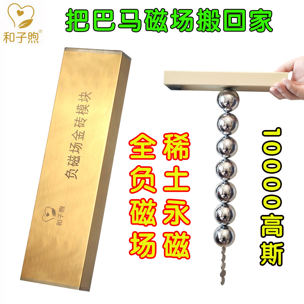 和子煦负磁场金砖模块