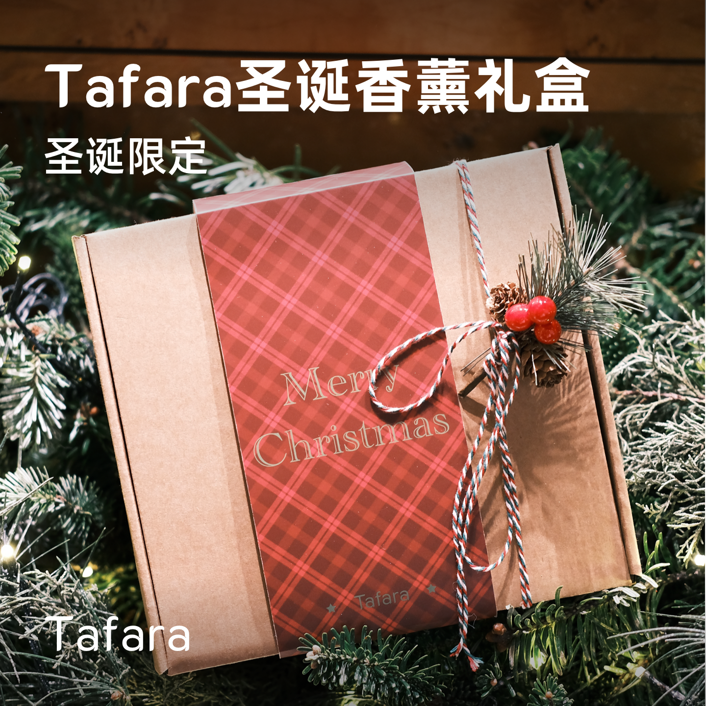 Tafara圣诞限定香薰礼盒 天然植物香薰炉草杖 治愈仪式感小众礼物,家居饰品,香薰礼盒,淘宝优惠券,粉丝福利购,淘宝优惠卷